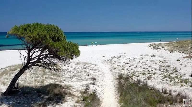 Le Residenze Del Mare Affittacamere La Caletta Exteriér fotografie